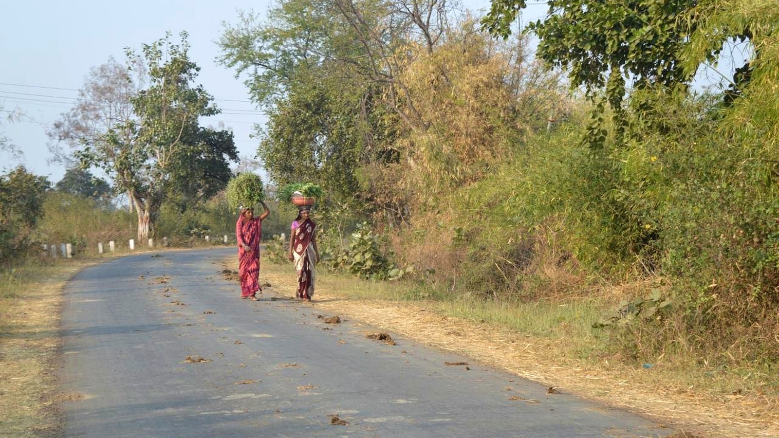 Climate-smart agriculture and carbon market capacity building